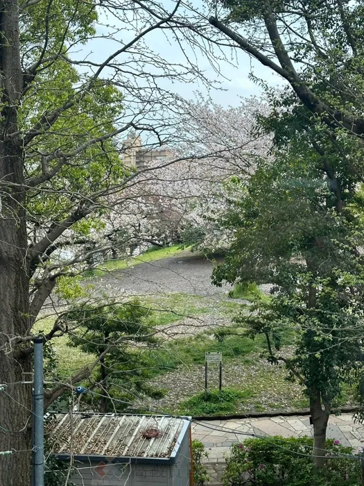 グランドメゾン代官山THE PARK の画像7